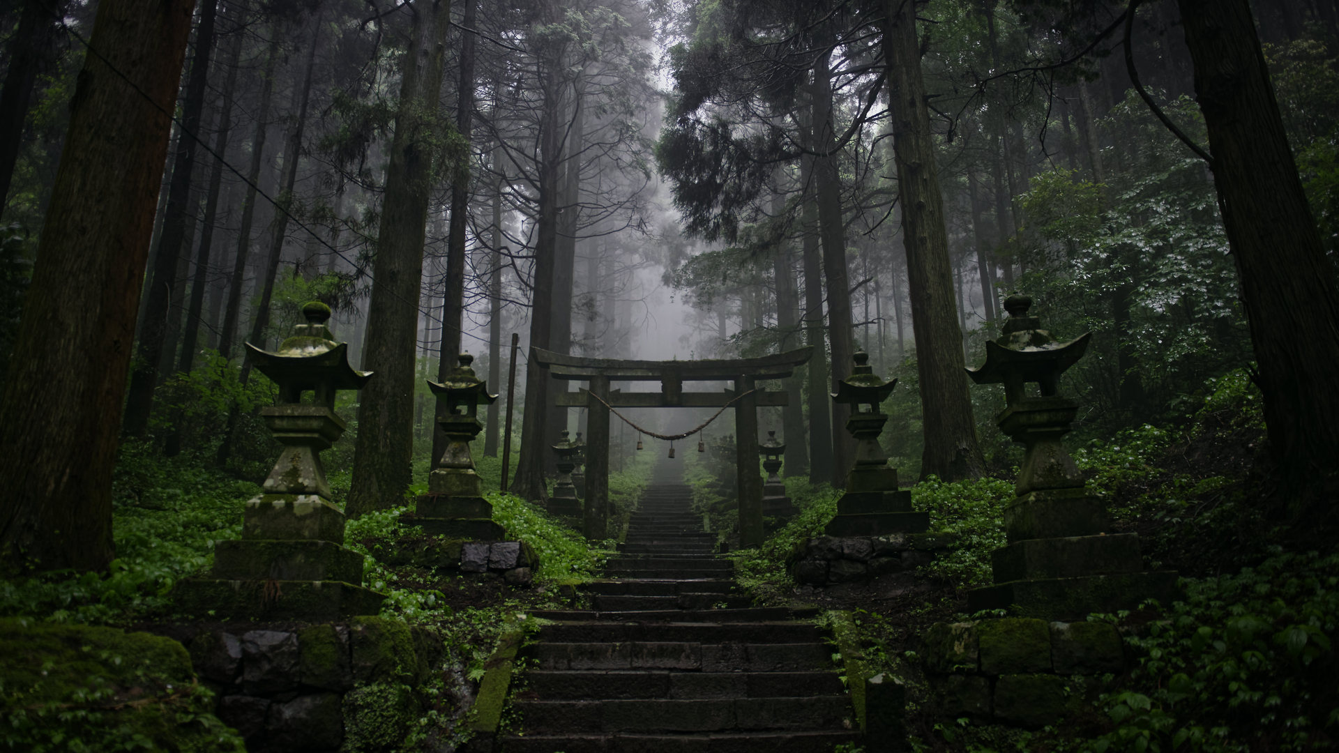 精选森林 寺庙 热带森林 亚洲 黑暗 薄雾 电脑 4K壁纸 5120×3416