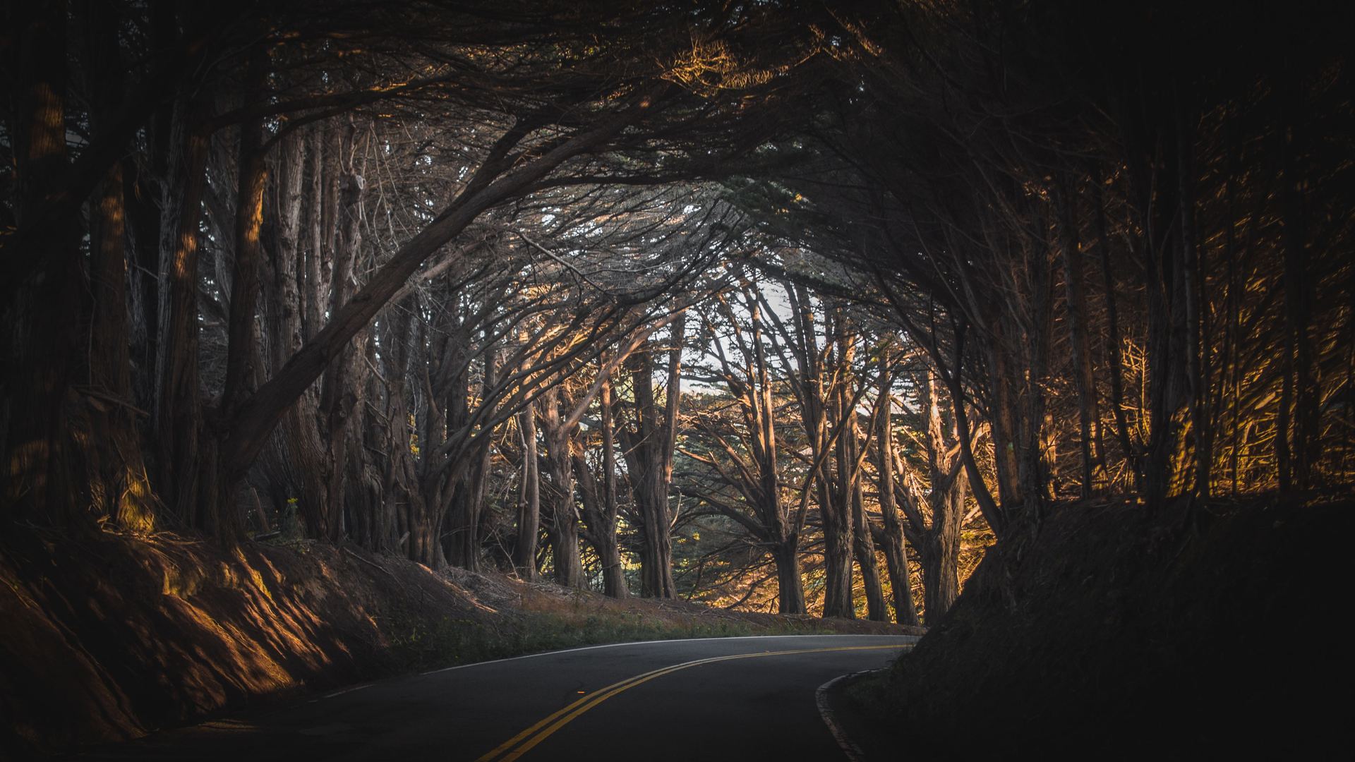 自然 风景 秋天 道路 树木 大气 拱门 米色 电脑 高清壁纸 4171×2346