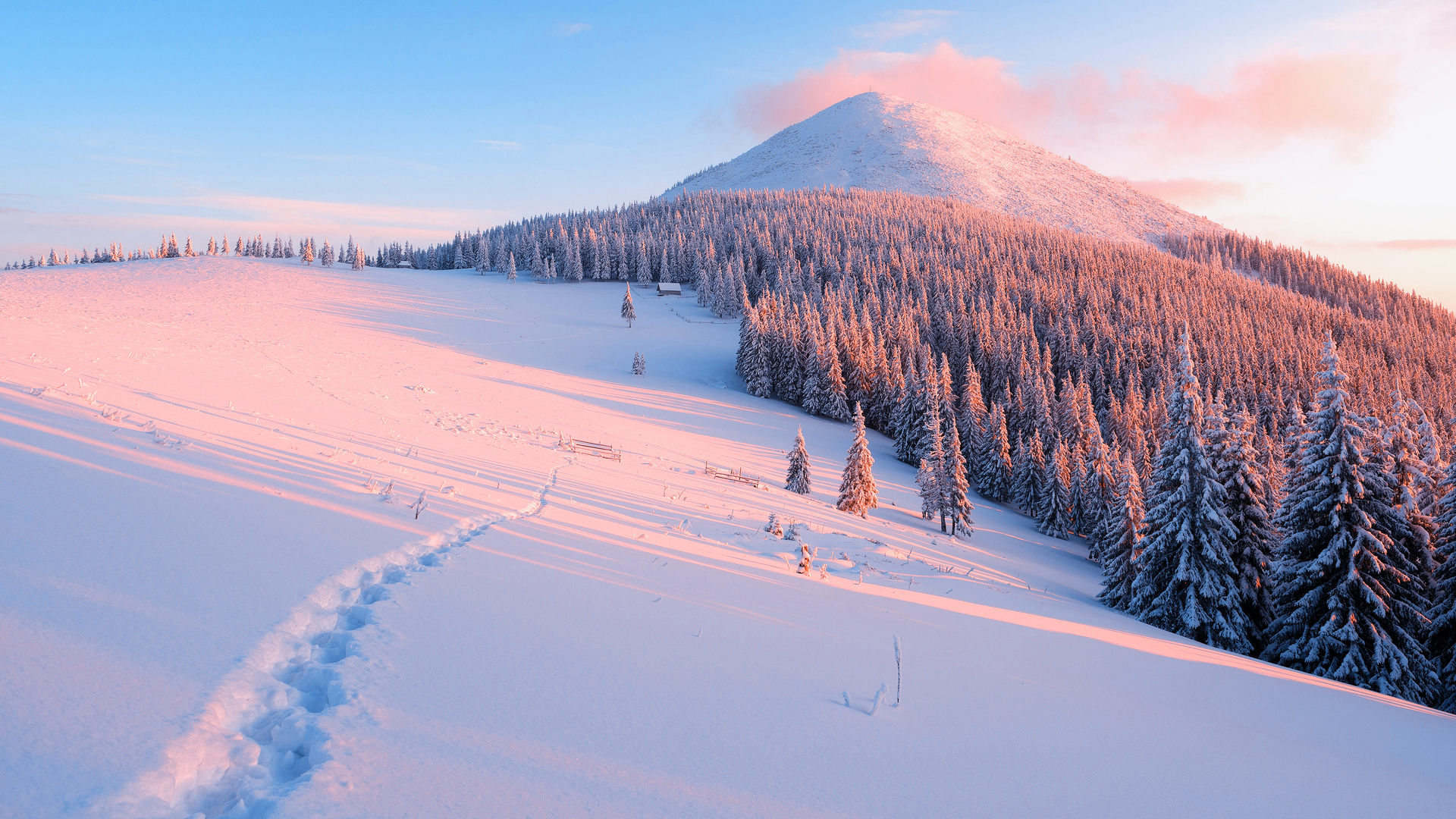 雪 冬天 寒冷 风景 森林 电脑 4K壁纸 3840×2160
