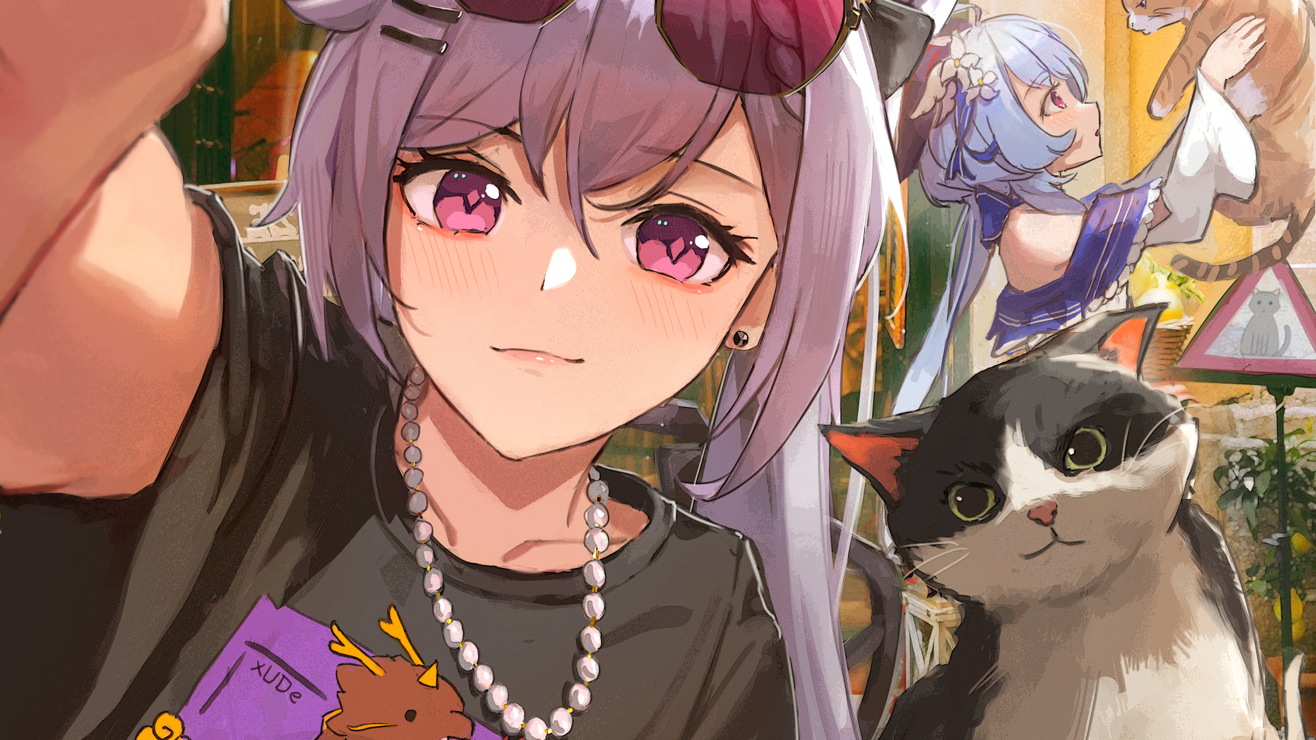 热门动漫 动漫女孩 猫 电脑 高清壁纸 4047×3062