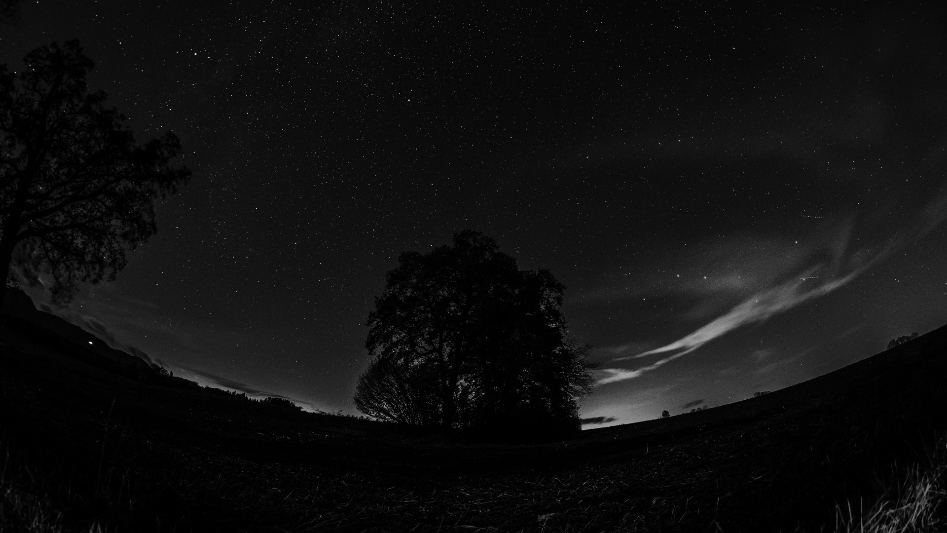 高清夜 自然 树木 夜空 星星 鱼眼镜头 摄影 黑暗 单色 电脑 壁纸 6000×3376