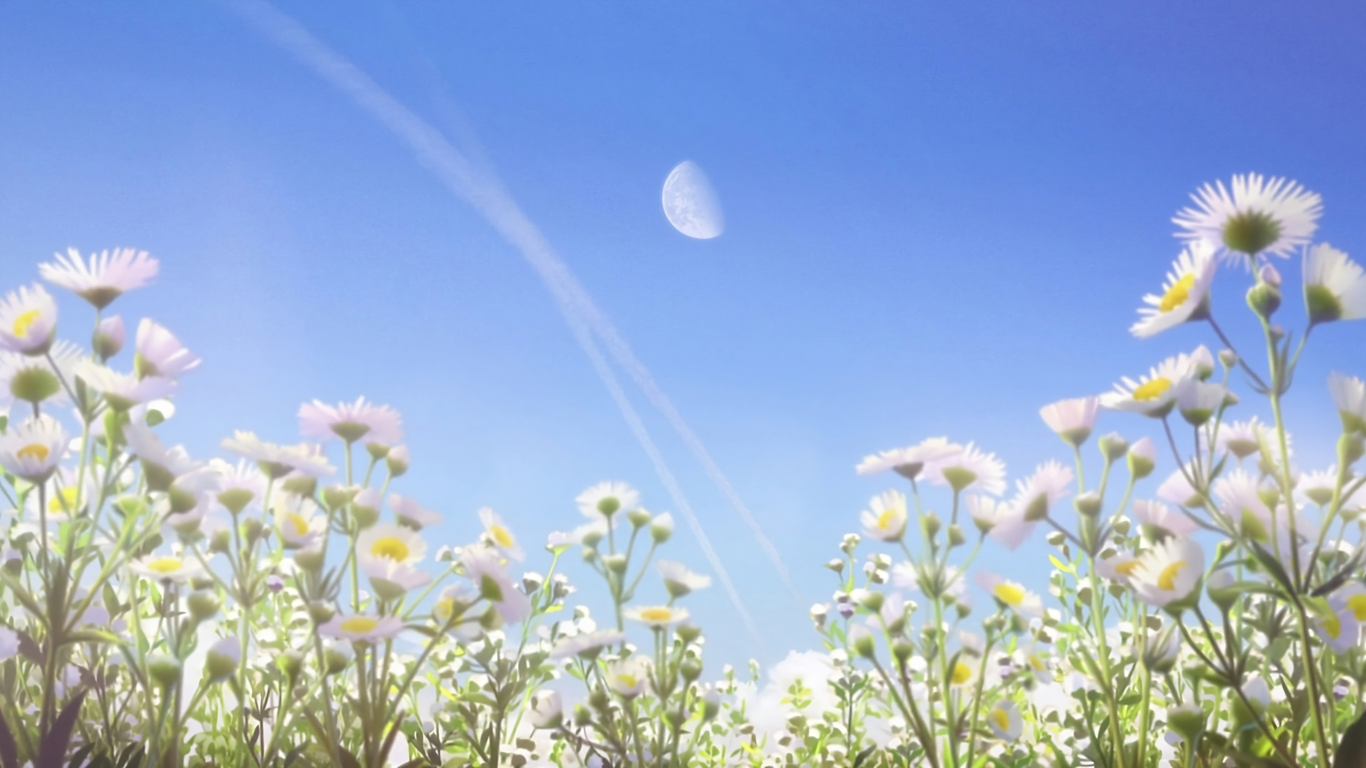 精选Hello World 风景 雏菊 动漫截图 电脑 4K壁纸 3840×2160