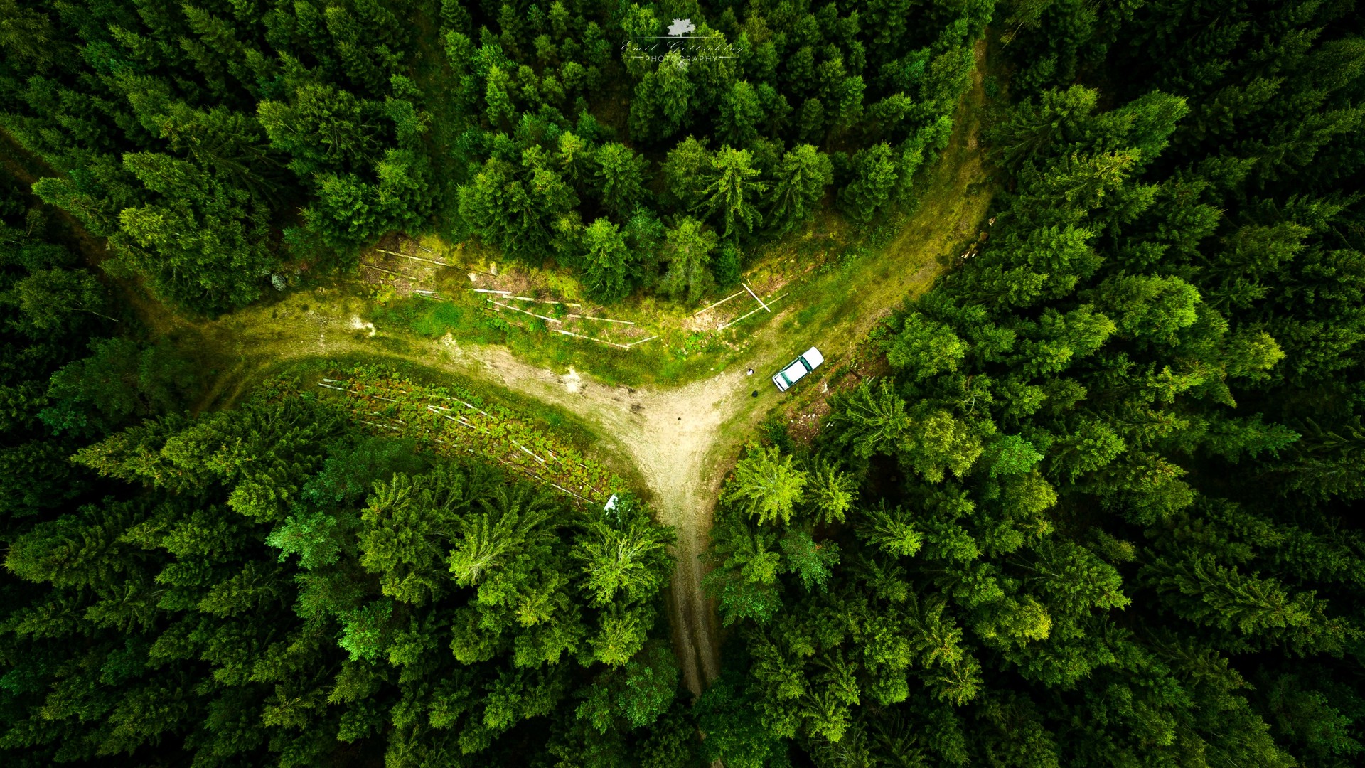 唯美无人机 风景 自然 鸟瞰 森林 绿色 电脑 壁纸 3992×2242