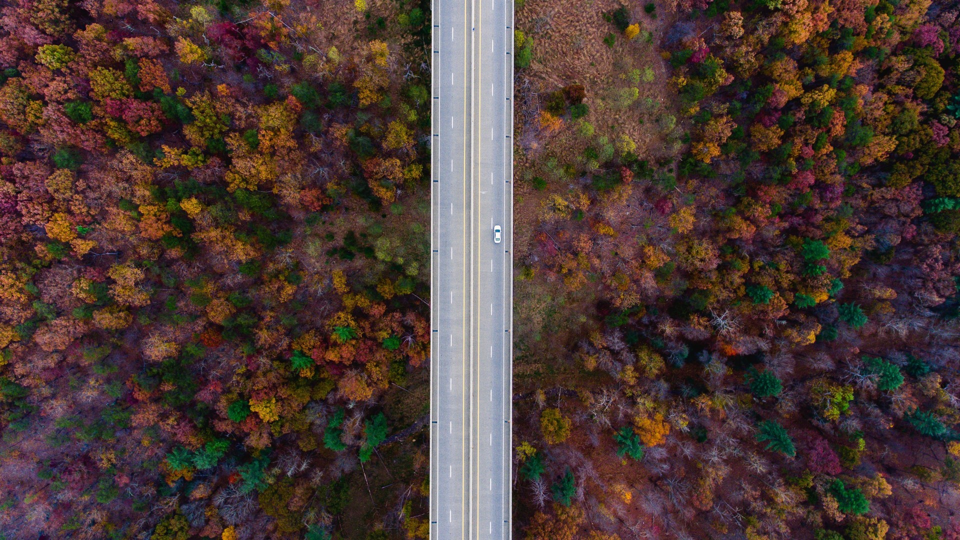 自然道路 树木 秋天 汽车 电脑 4K高清壁纸 3935×2210