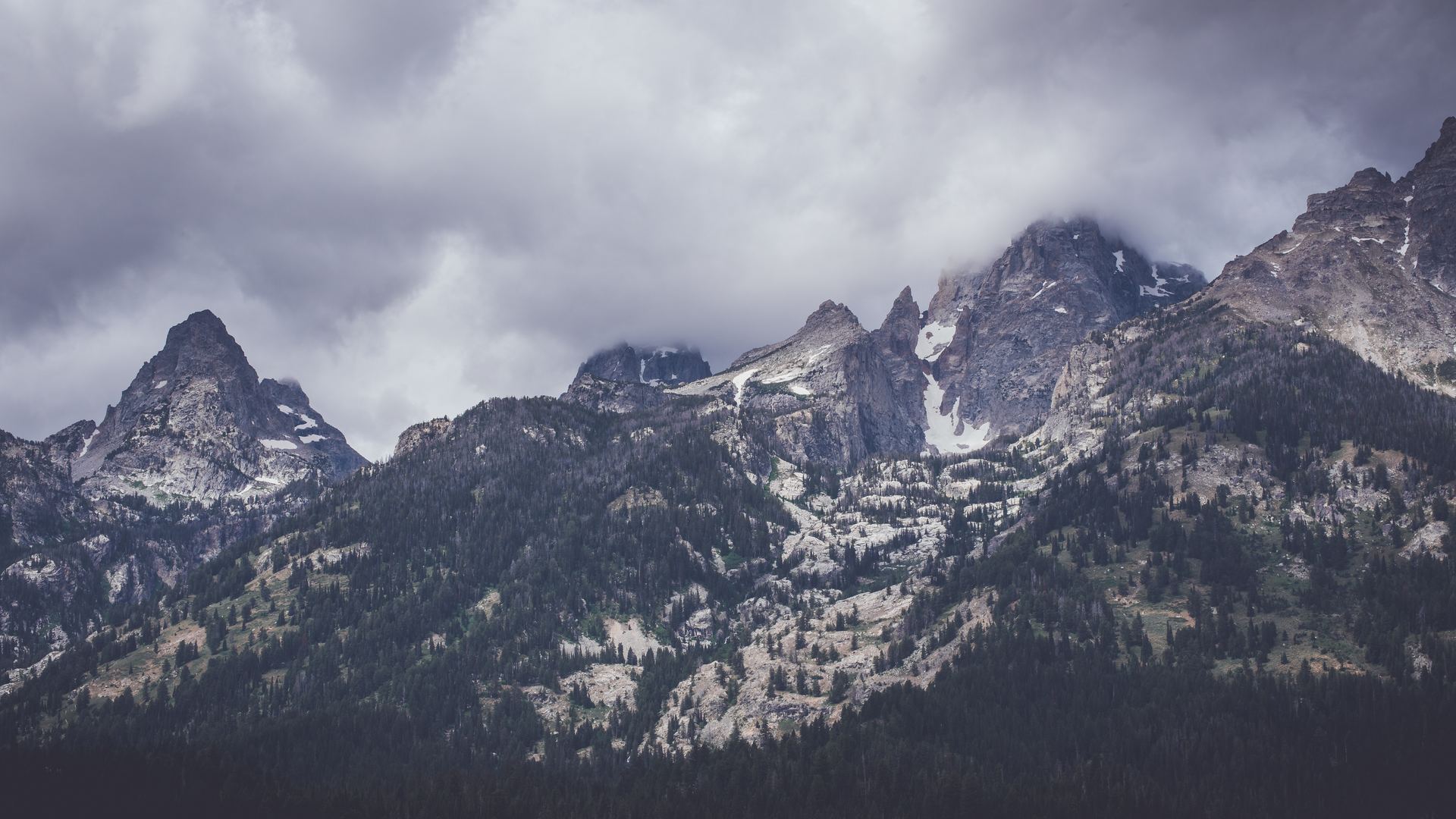 热门自然 树木 雪 山 电脑 高清壁纸 6016×3123