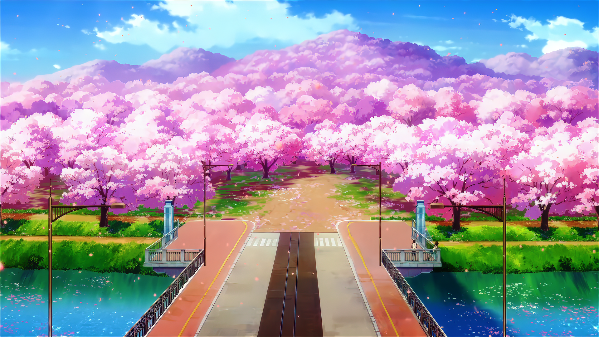 热门樱花 电脑 高清壁纸 3840×2160