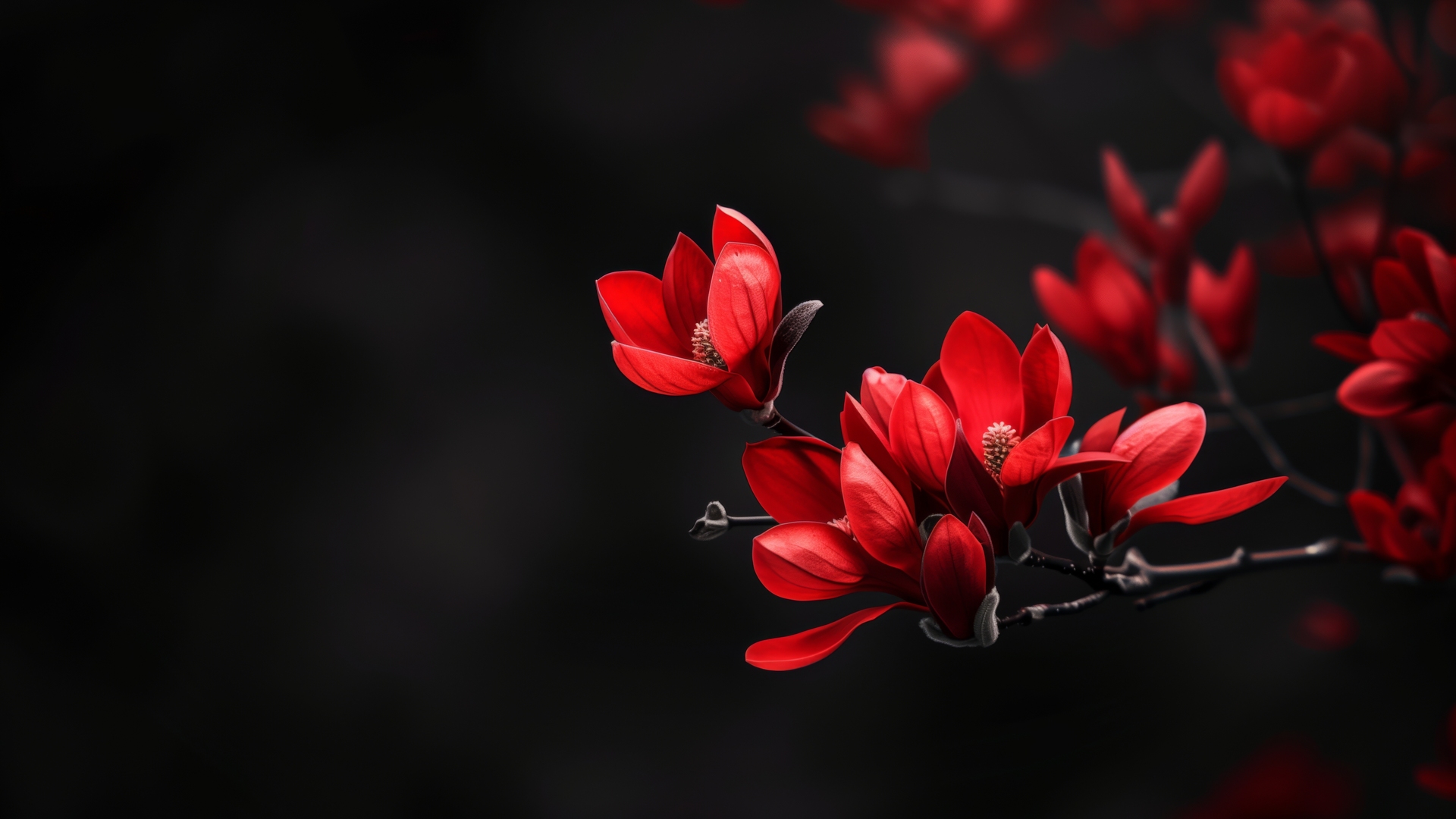 热门AI艺术 花 黑色 红色 景深 电脑 高清壁纸 5824×3264