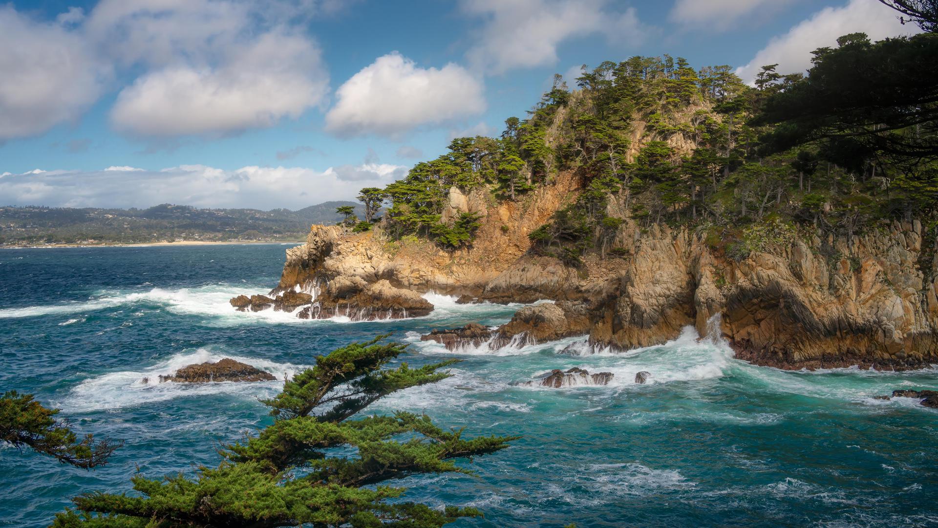 风景 海岸 悬崖 海 森林 柏树 云 自然 电脑 壁纸 4800×3600