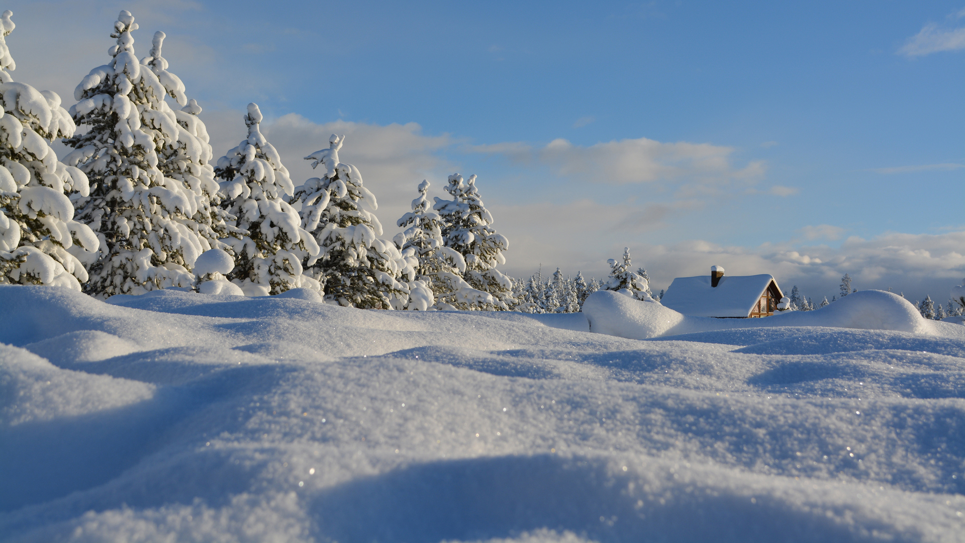 精选雪 白雪 松树 木屋 冬天 白色 寒冷 风景 电脑 壁纸 3840×2160