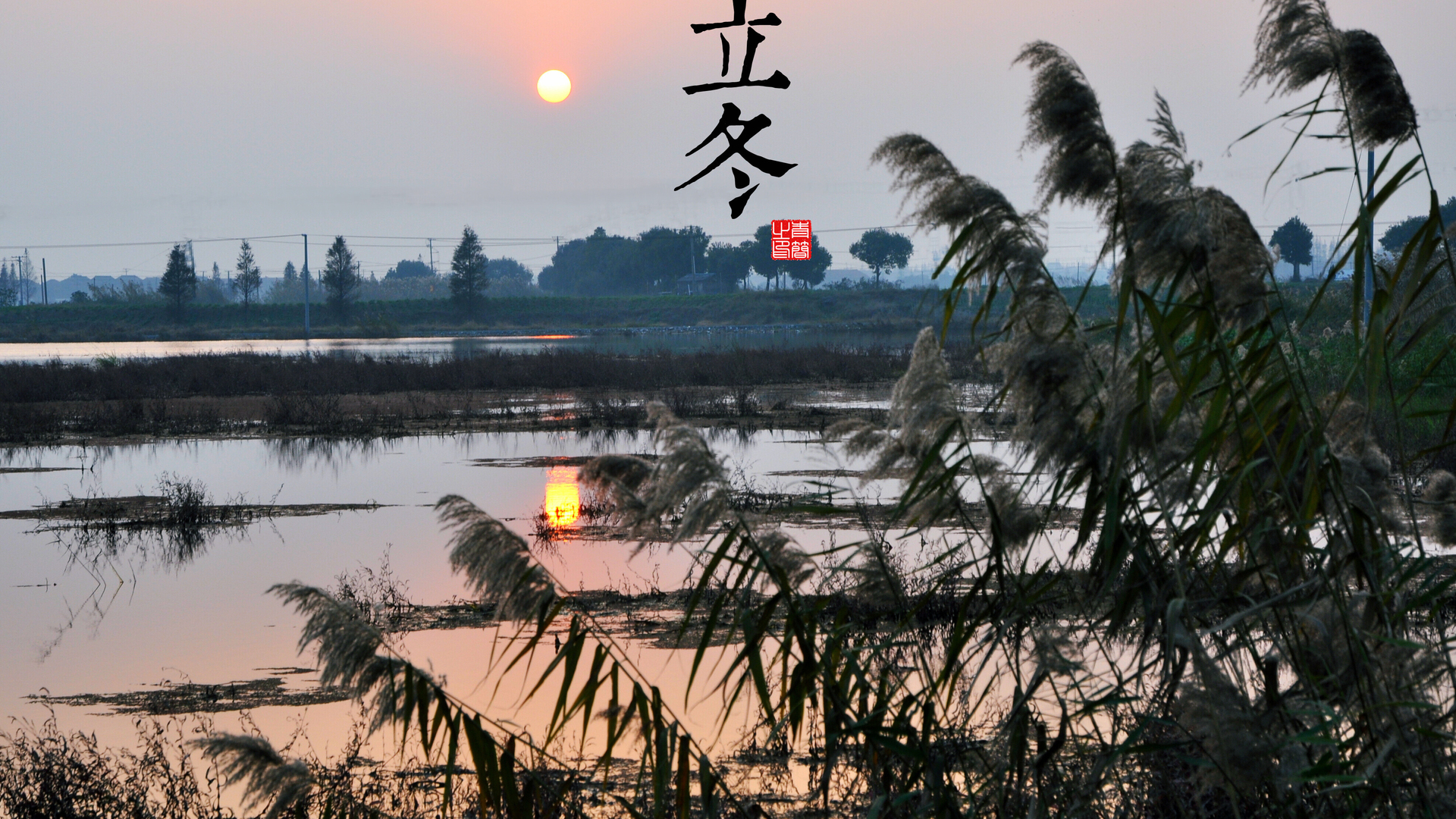 热门自然 风景 太阳 寒冷 立冬 湖 湖水 芦苇 电脑 高清壁纸 3948×2621