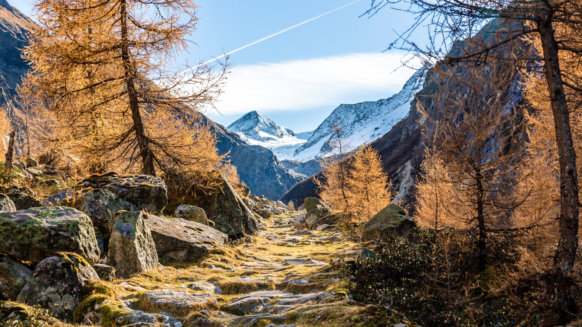 绝美自然 树木 雪 森林 道路 雪山 山脉 电脑 4K壁纸 5760×3840