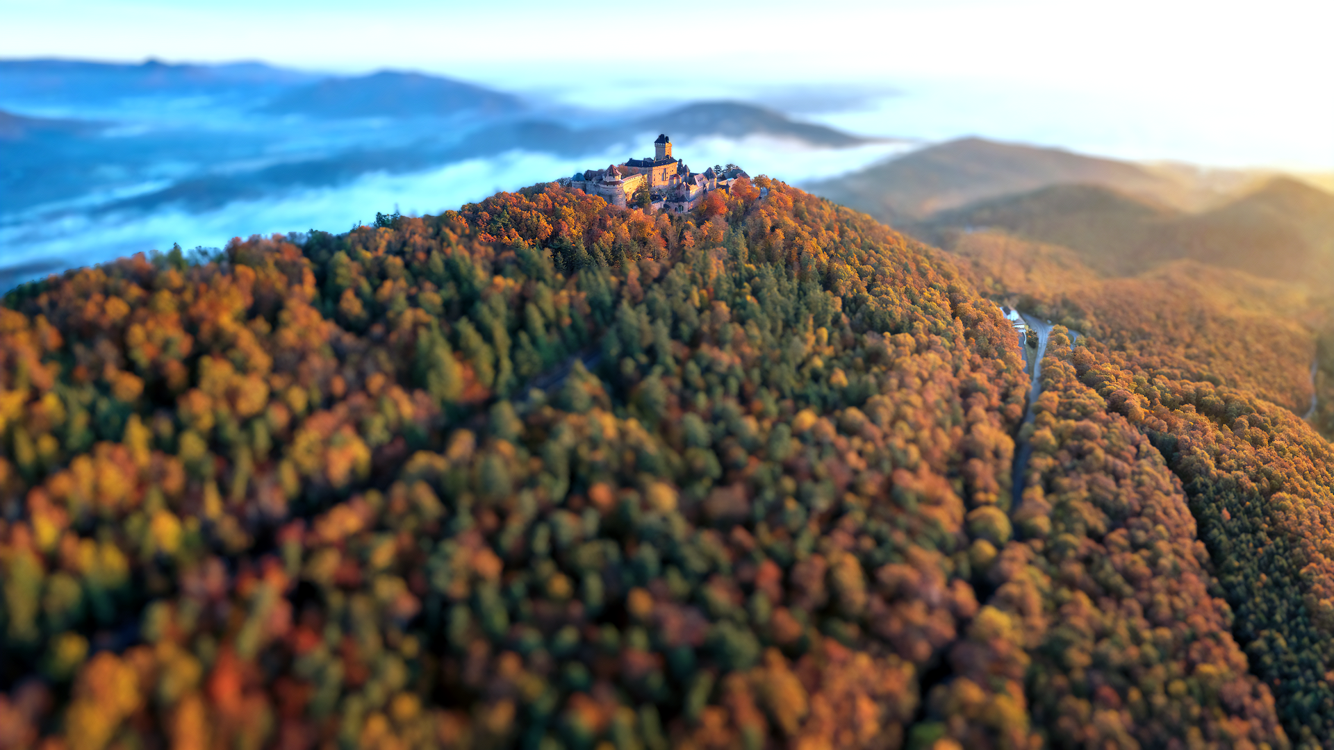 森林 秋天 自然 城堡 风景 散景 景深 阳光 电脑 手机壁纸 3840×2160