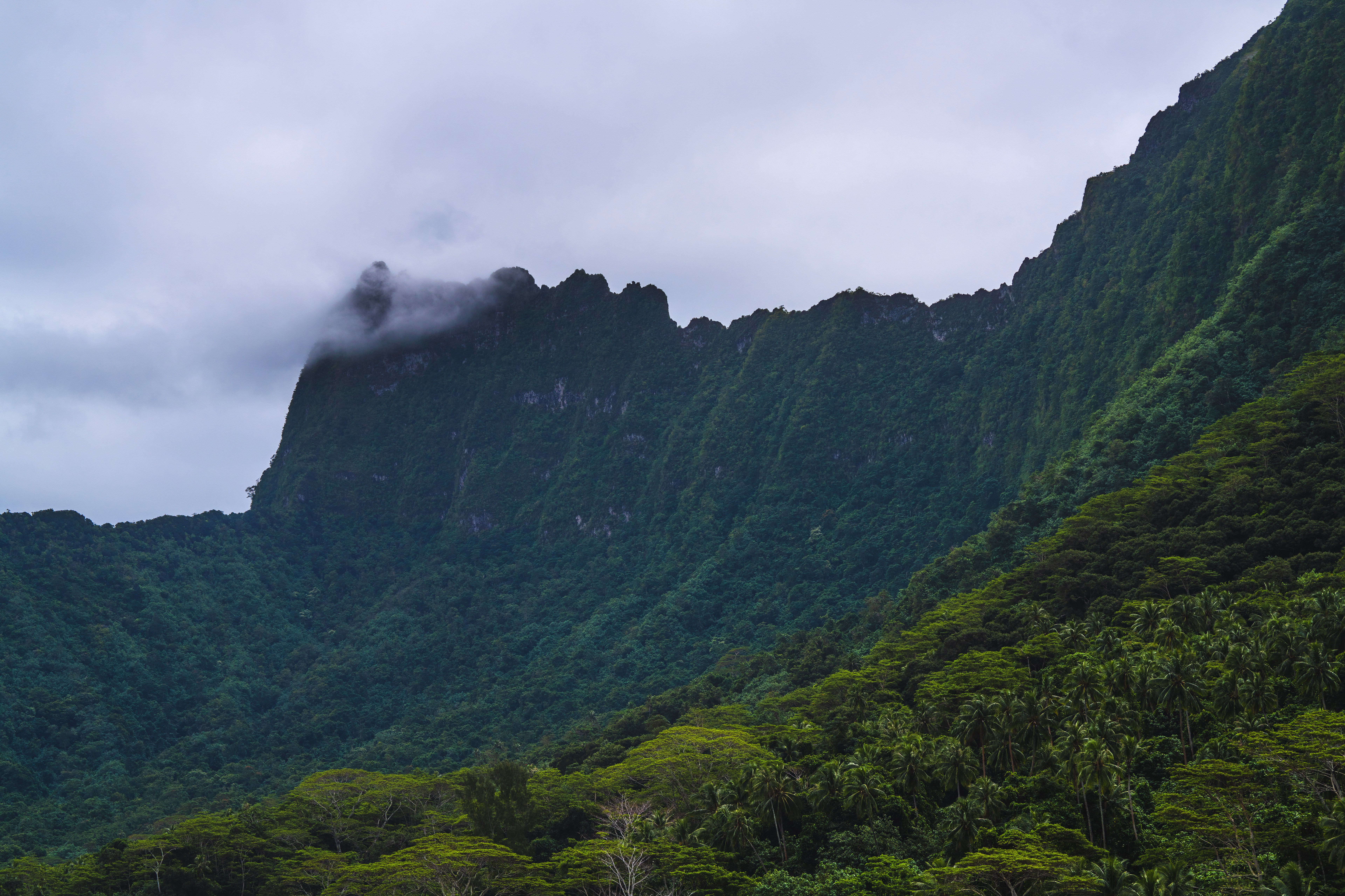 山脉 风景 自然 云 丛林 岛屿 壁纸 7680×5120