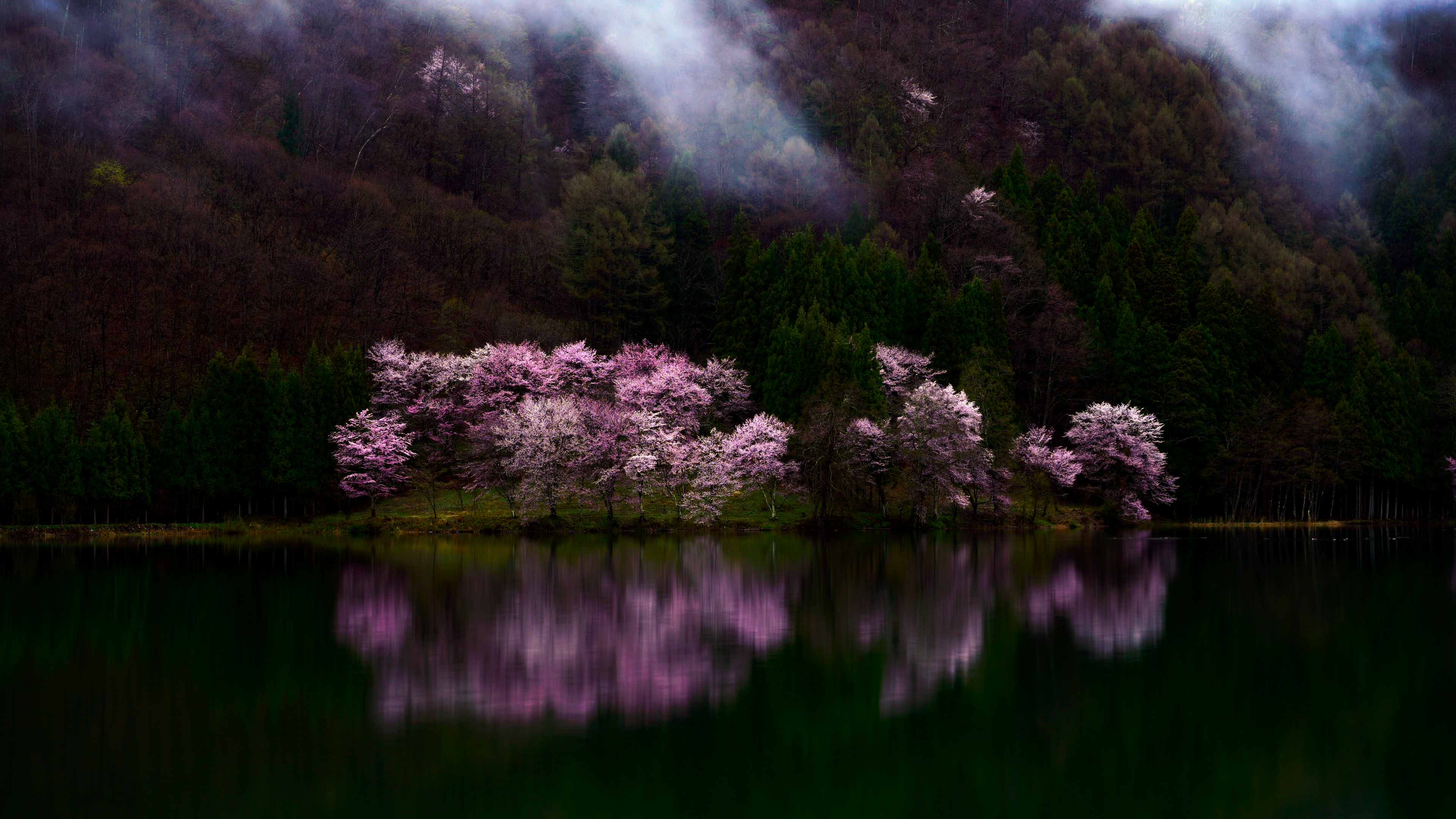 自然 景观 树木 山脉 水 森林 樱花 弱光 山谷 湖泊 4K高清壁纸 3840×2160