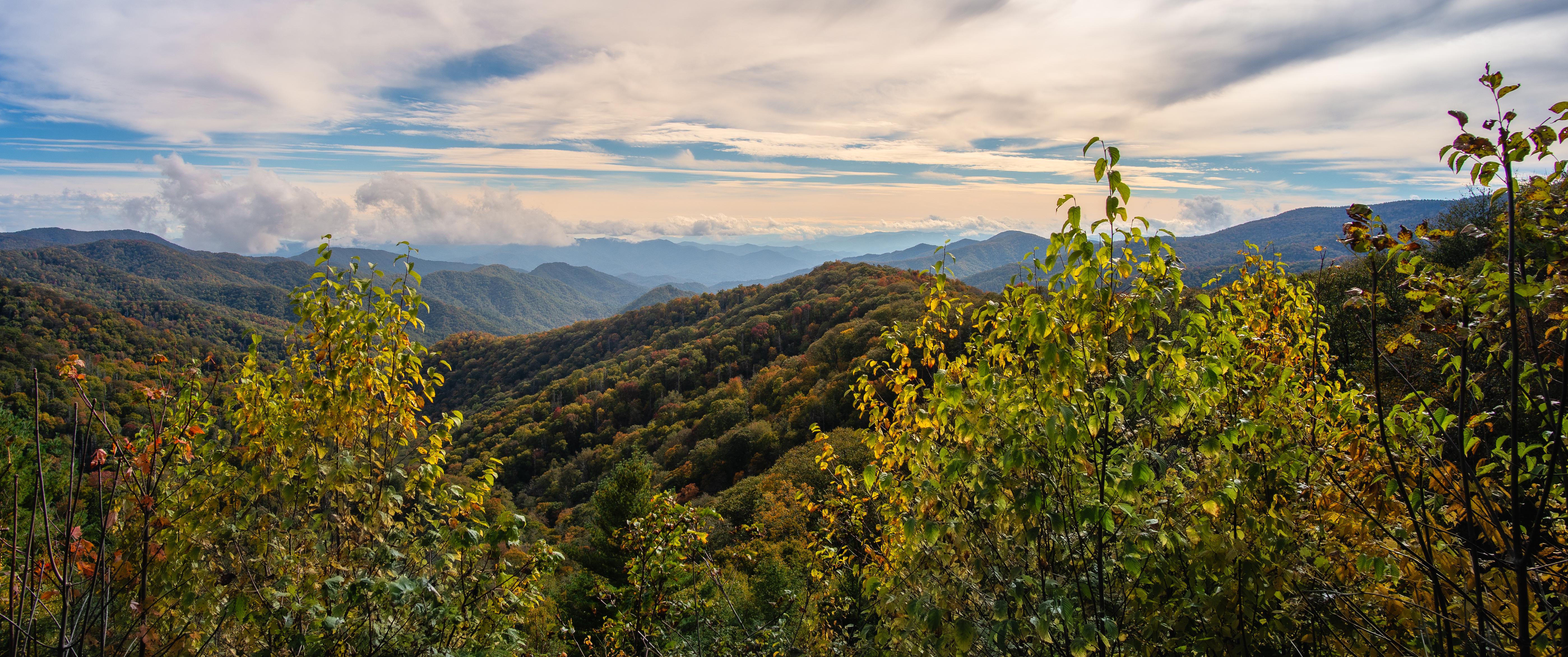 云 森林 自然 景观 山脉 山景 树木 手机壁纸 5595×2343