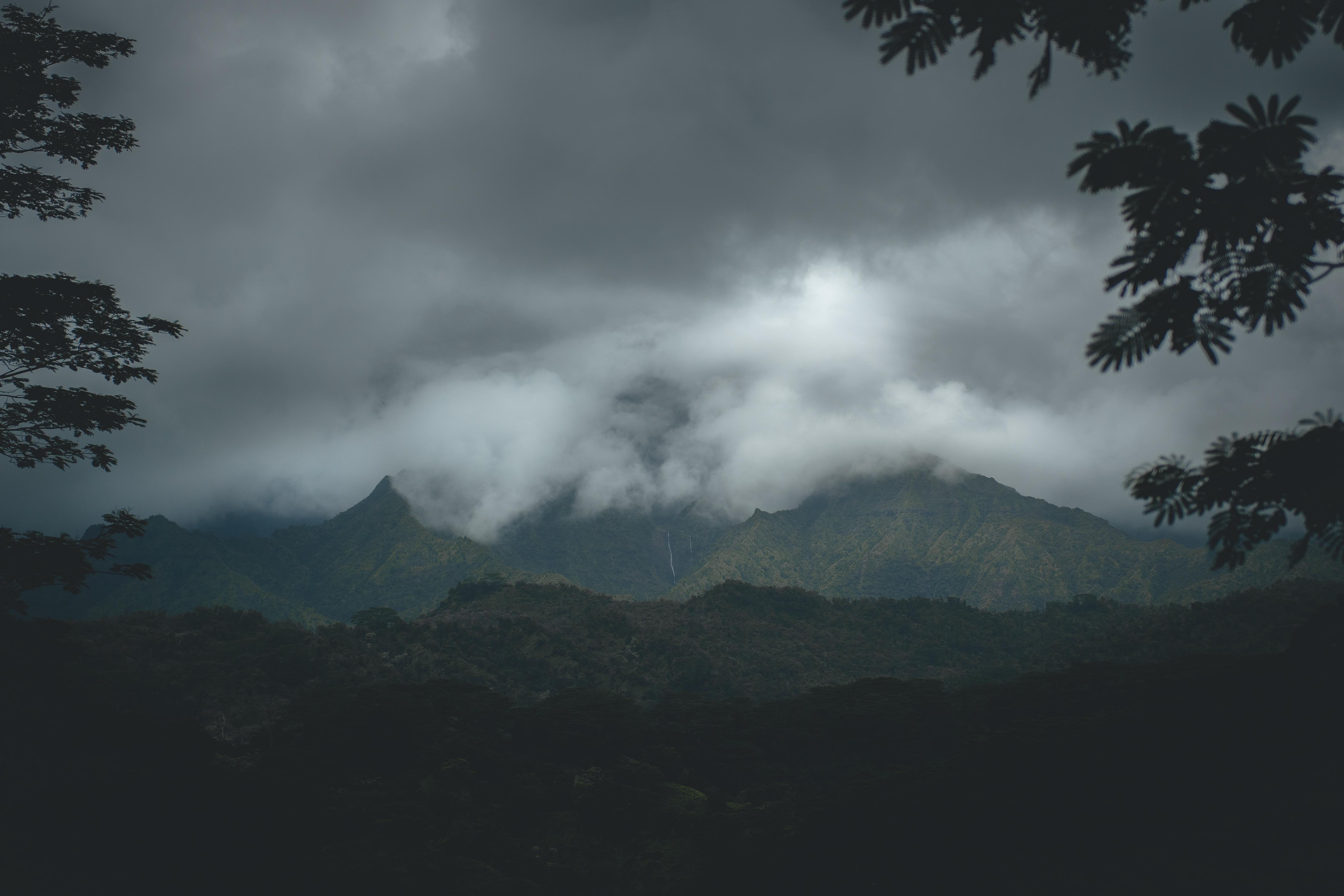热门云 森林 自然 景观 黑暗 高清壁纸 4741×3161