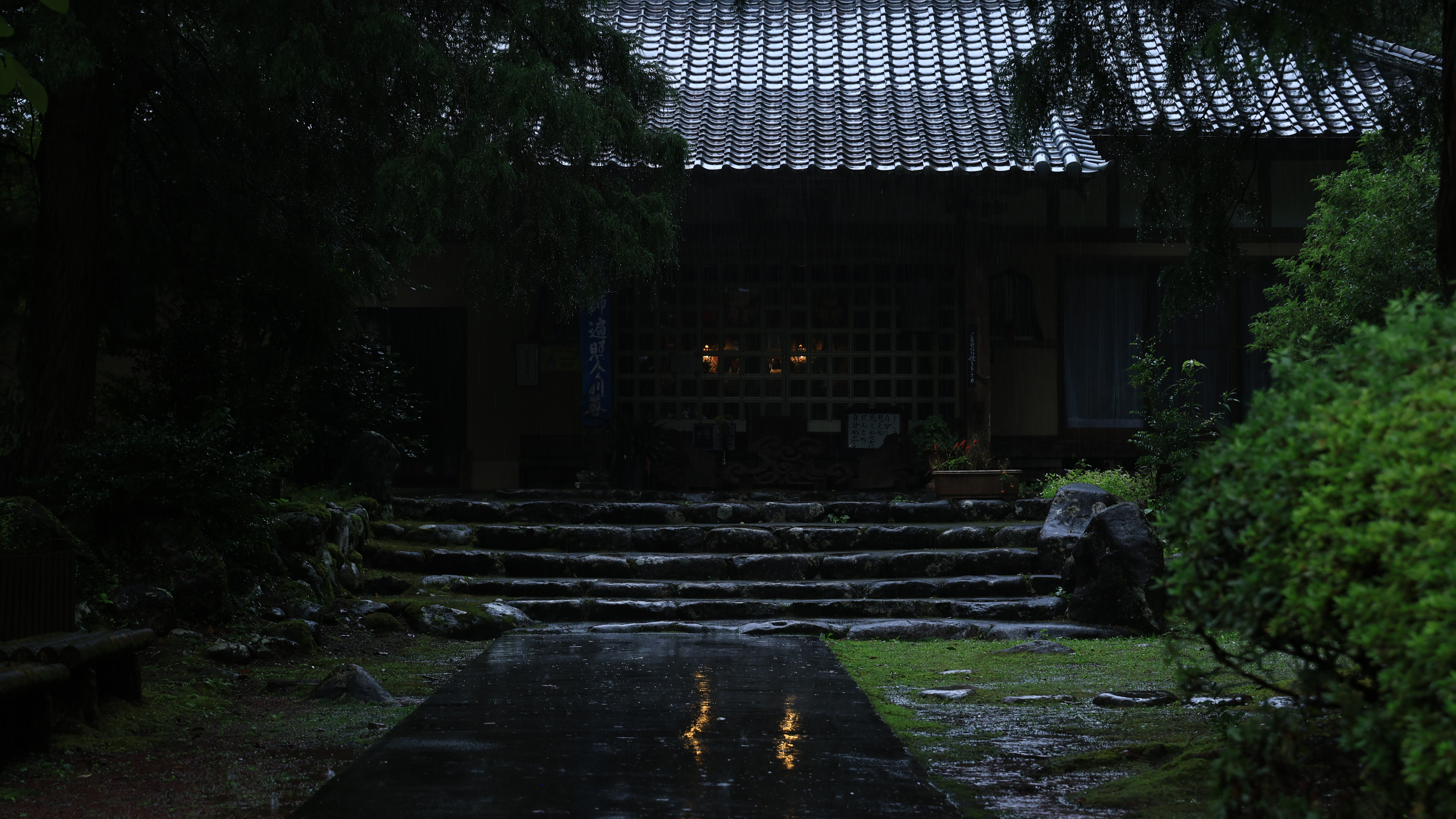 精选自然 石楼梯 黑暗 弱光 树木 植物 雨季 风 寺庙 壁纸 5120×2880