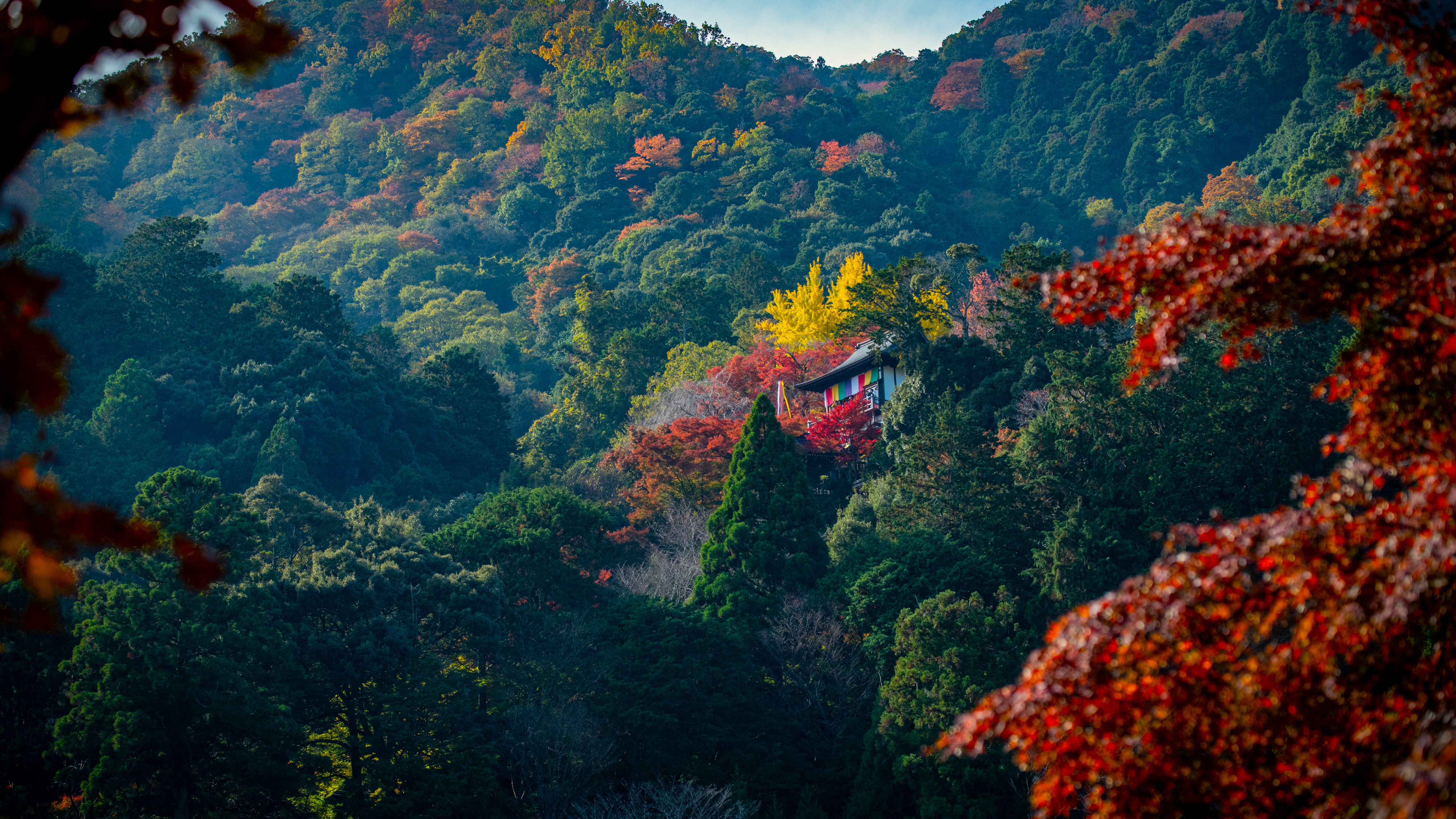 自然 寺庙 山脉 树木 树叶 秋天 森林 桌面壁纸 5120×2880