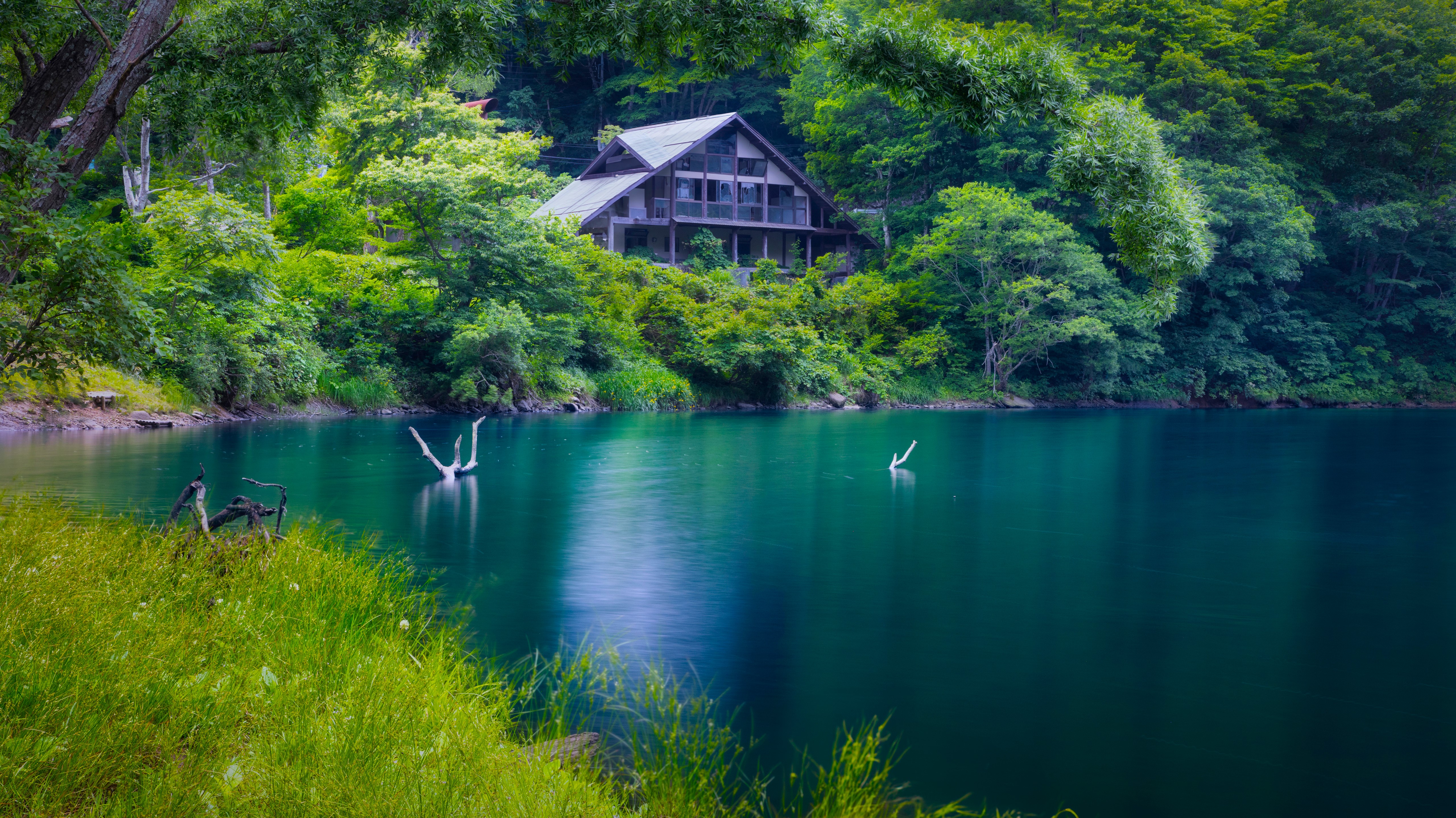 自然 景观 树木 植物 河流 木材 水 湖泊 废墟 废弃 森林 树叶 壁纸 5120×2880