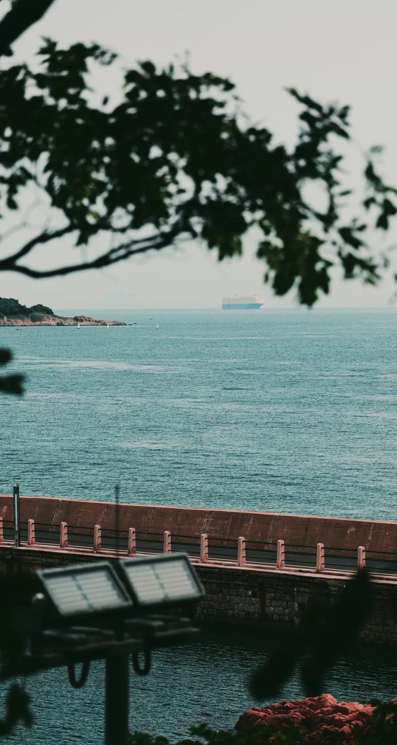 唯美自然 风景 海景 树枝 树叶 水 海 天空 手机 壁纸 3909×5875