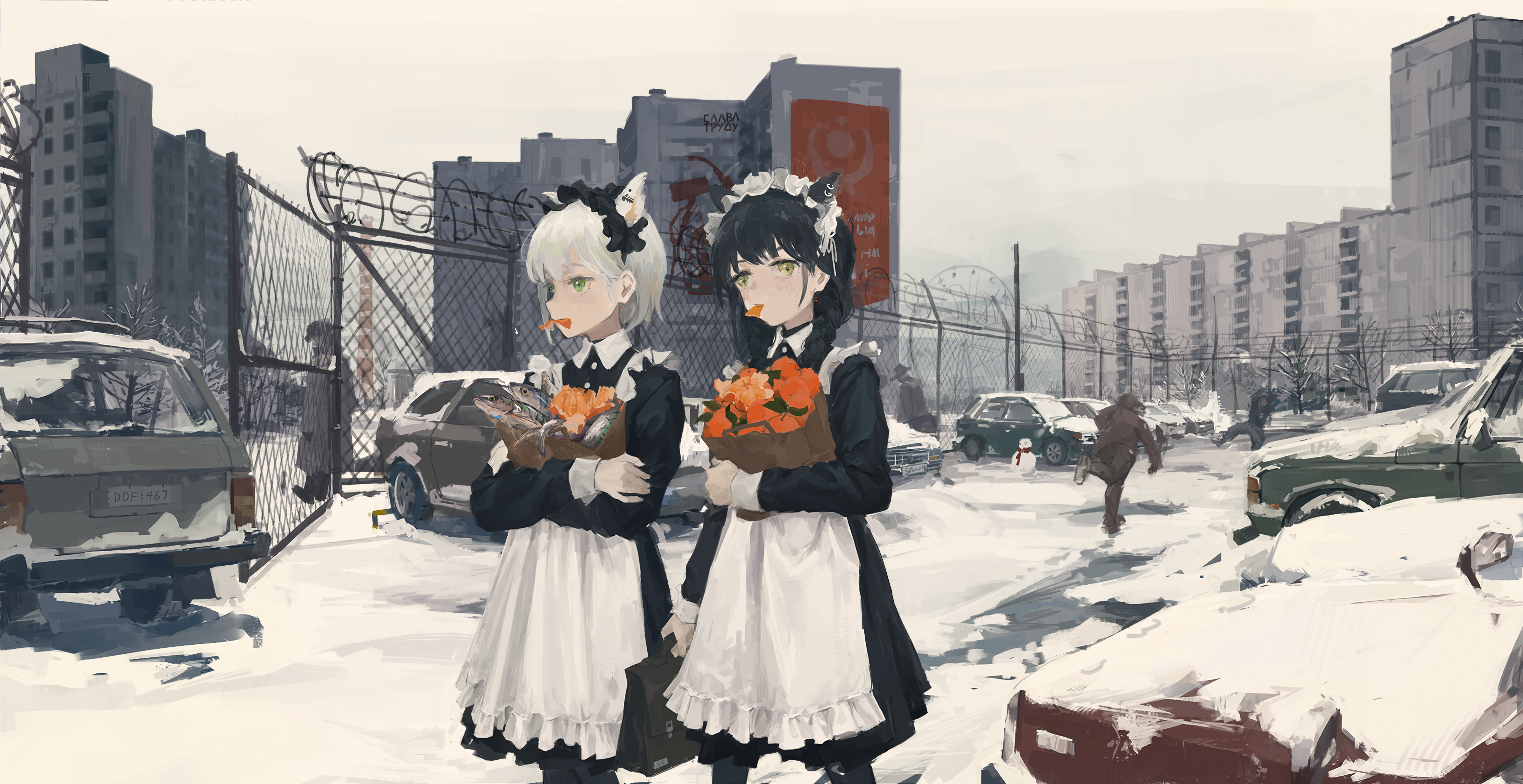 猫女 动漫 女孩 女仆 白雪 汽车 橙子 水果 鱼 刷子 4K高清壁纸 4560×2348