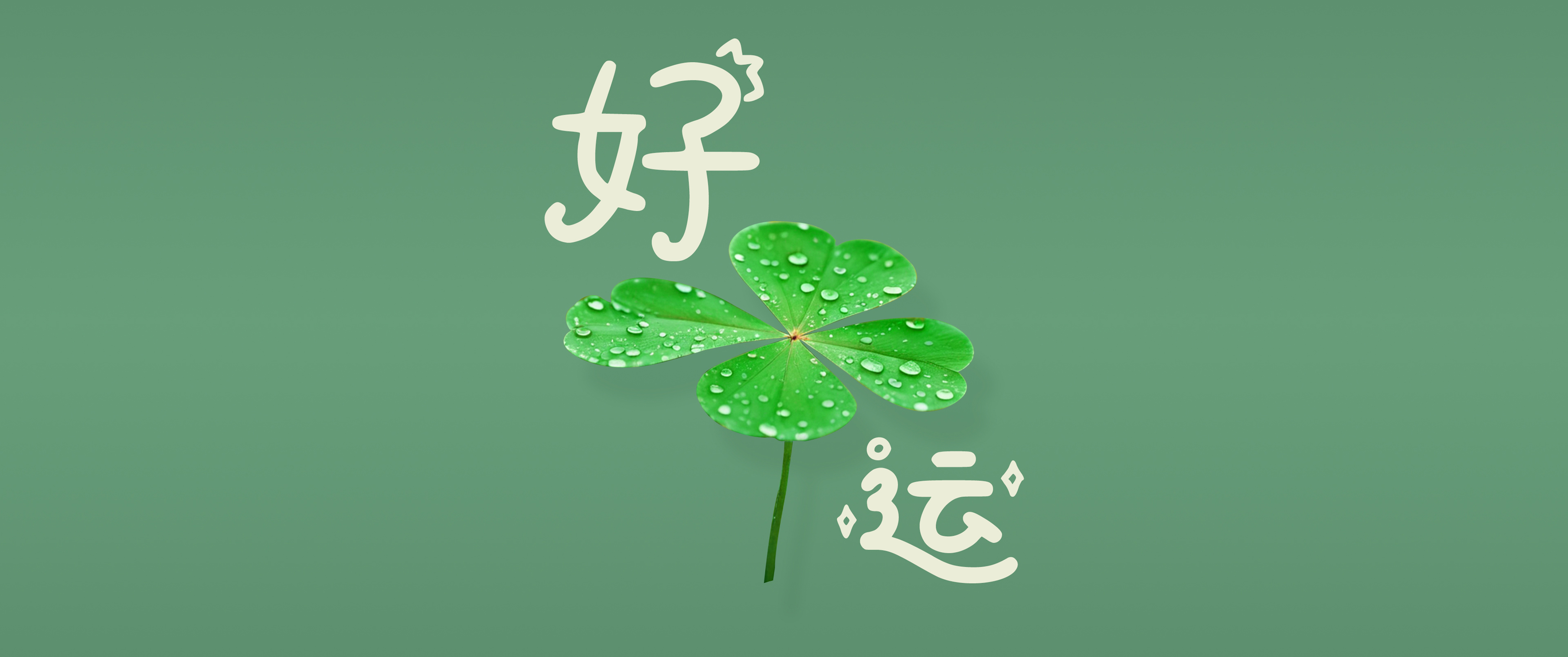 好运 四叶草 护眼 带鱼屏绿色 简约 简单背景 2K 壁纸 3440×1440