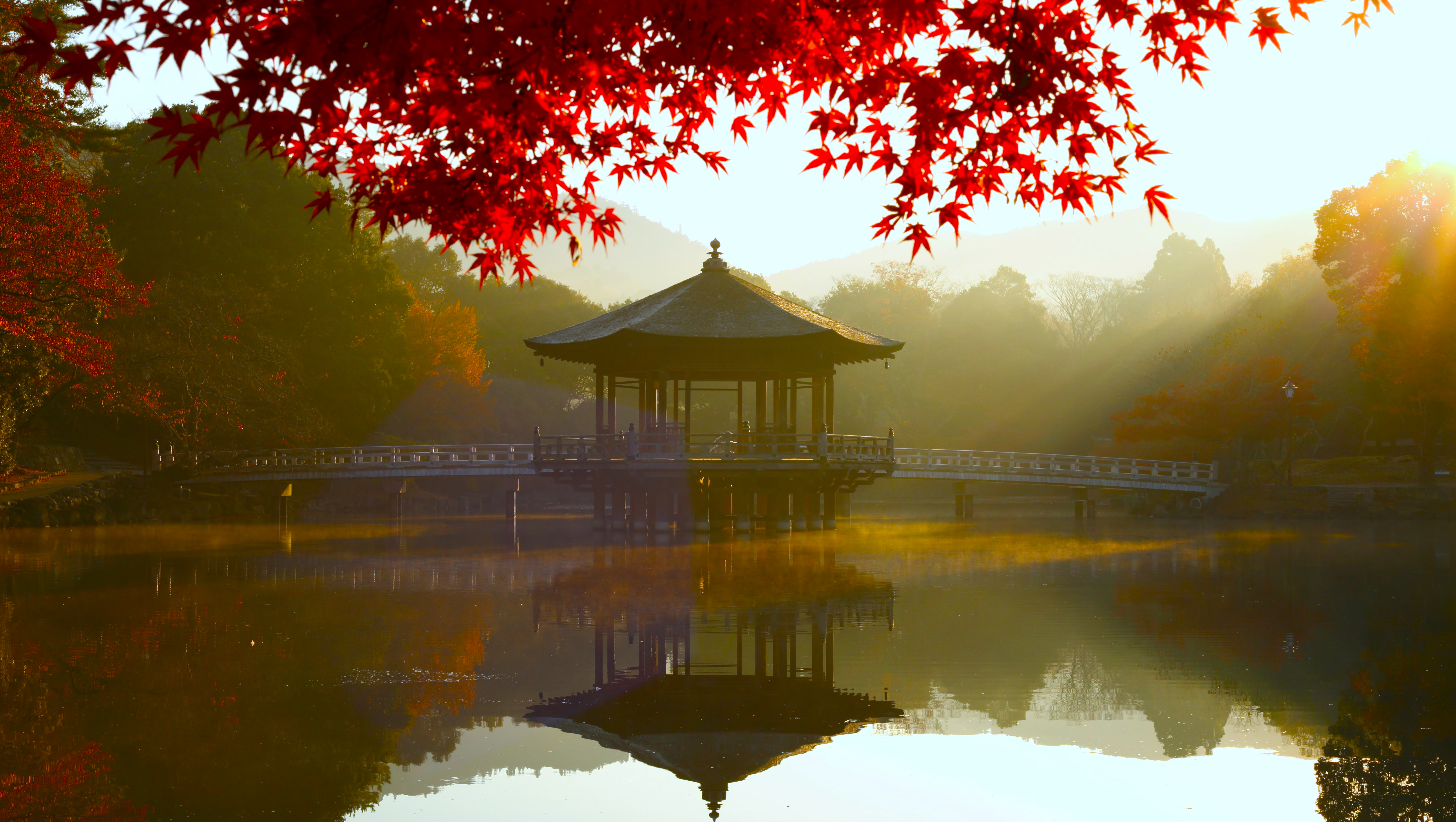 自然 景观 叶子 树叶 水面 倒影 桥梁 树木 阳光 早晨 秋天 4K壁纸 5802×3275