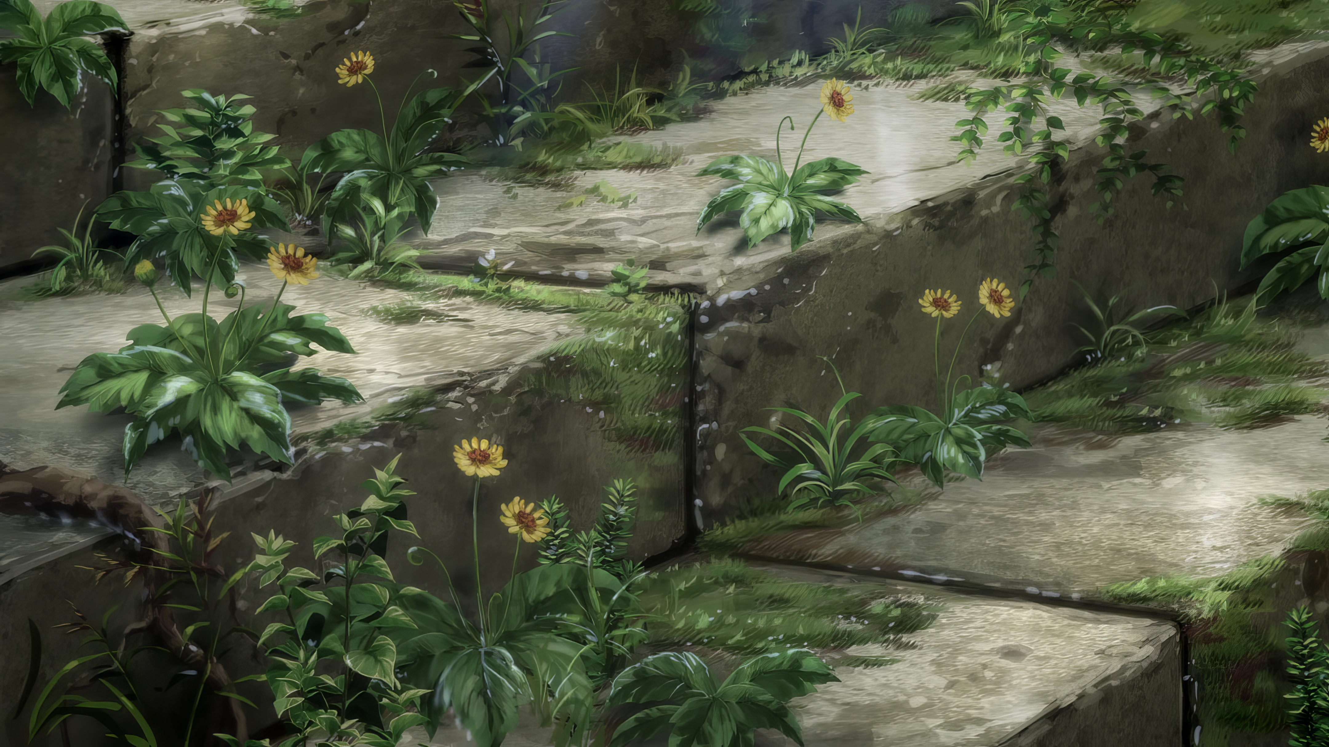 唯美绘画 向日葵 苔藓 台阶 石头 植物 草 攀爬 特写 无水印壁纸 4320×2430