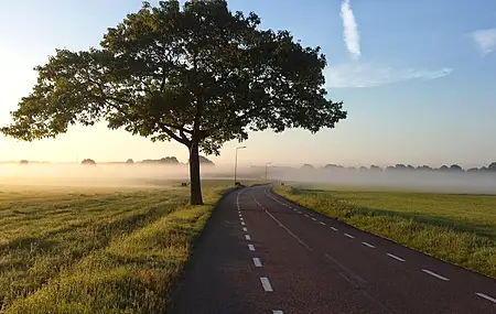 经典自然 风景 树木 薄雾 道路 日出 草 云 天空 电脑 4K壁纸 4128×2322