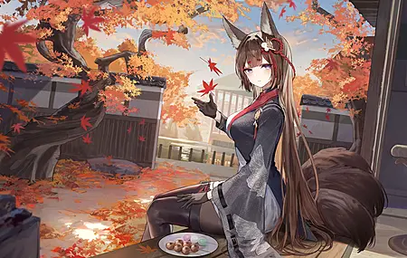 坐着 长发 黑发 蓝眼睛 耳朵 尾巴 动漫 女孩 连裤袜 高跟鞋 黑手套 头饰 落叶 盘子 食物 流苏 4K高清壁纸 5400×3038