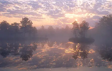 热门自然 景观 阳光 树木 雾 云 天空 水 森林 高清壁纸 3840×2160