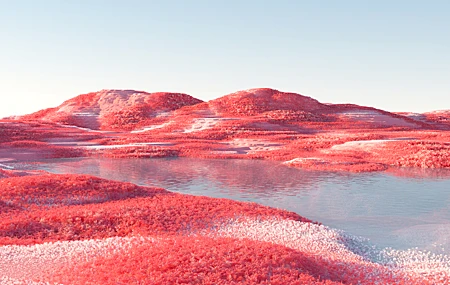 绝美风景 自然 植物 水 倒影 抽象 CGI 桌面壁纸 5120×2880