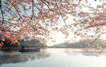 春天 湖畔 樱花 游船 湖泊 水面 倒影 4K高清壁纸 3840×2160