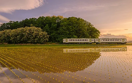 自然 风景 树木 云朵 天空 稻田 水面 铁路 火车 阳光 倒影 壁纸 3840×2160