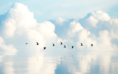 绚丽数字艺术 艺术品 插图 数字 绘画 风景 自然 海洋 水 倒影 云 鸟类 壁纸 3840×2160