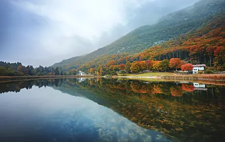 自然 景观 树木 森林 云 水湖 清水 倒影 植物 房屋 秋天 壁纸 6144×4096