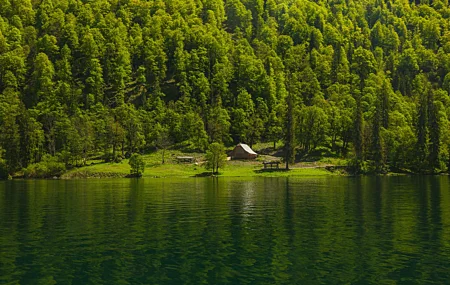 超清森林 水 绿色 倒影 树木 山脉 房屋 河流 风景 自然 丘陵 木屋 高清壁纸 5616×3744
