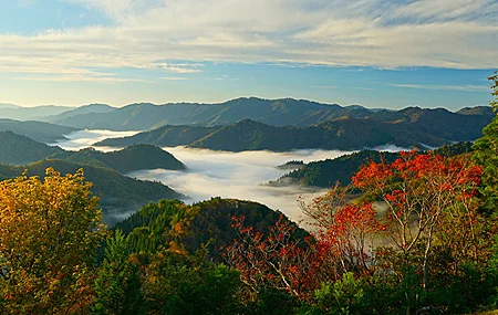 自然 风景 树木 天空 云 森林 山脉 薄雾 山景 秋天 4K高清壁纸 3840×2160