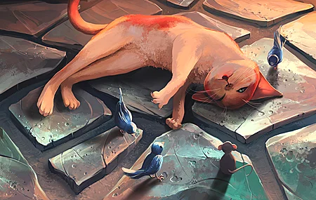 动物 鸟类 猫 哺动物 壁纸 3840×2400