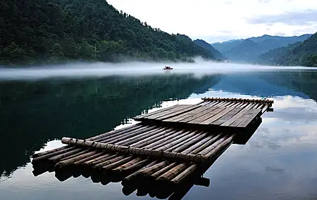 热门竹子 丛林 风景 自然 壁纸 3840×2160