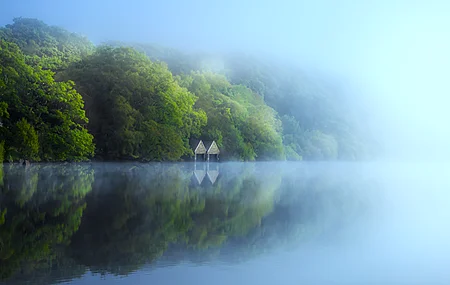 自然 景观 树木 森林 雾 湖泊 水 小屋 废弃 壁纸 4000×2200
