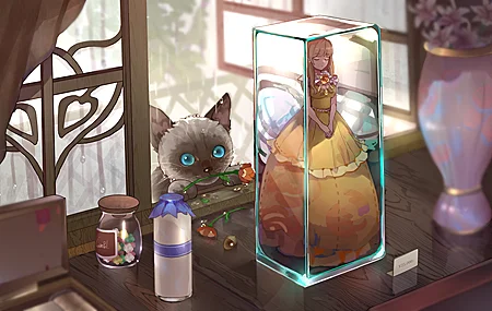 精选董 猫 花 雨 娃娃 壁纸 4000×2497
