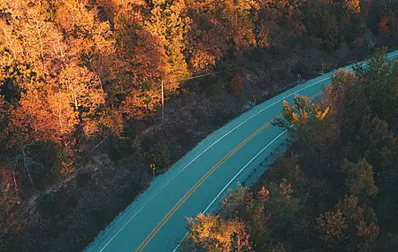 道路 森林 树木 秋天 自然 无水印壁纸 4608×3456