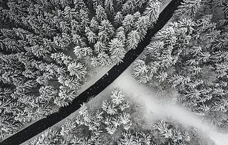 精选自然 摄影 风景 森林 道路 雪 树 壁纸 3968×2976