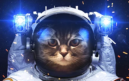 宇航员 猫 太空 艺术 创意 宇宙 星空 科幻 电脑 壁纸 6144×4088