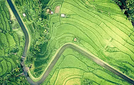 抽象 紫色 波克 电脑 壁纸 3840×2160