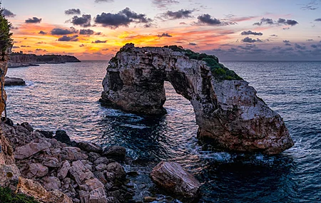 唯美自然 风景 树木 苔藓 森林 木材 阳光 户外 电脑 无水印壁纸 5184×3456
