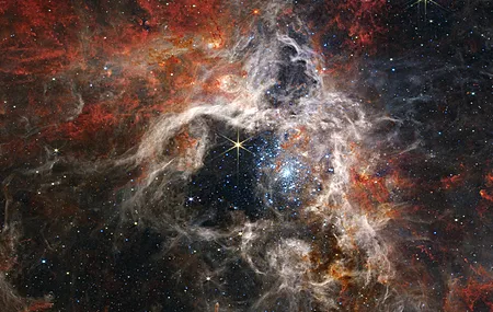 绚丽太空 望远镜 科学 红外 恒星 狼蛛 星云 电脑 手机壁纸 3840×2160