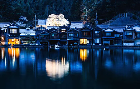 倒置 水 反射 夜间 建筑 灯光 树木 电脑 壁纸 4765×3182