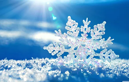 超清雪花 冬季 微距 雪 蓝色背景 霜冻 寒冷 冰 阳光 冰晶 电脑 高清壁纸 3840×2160